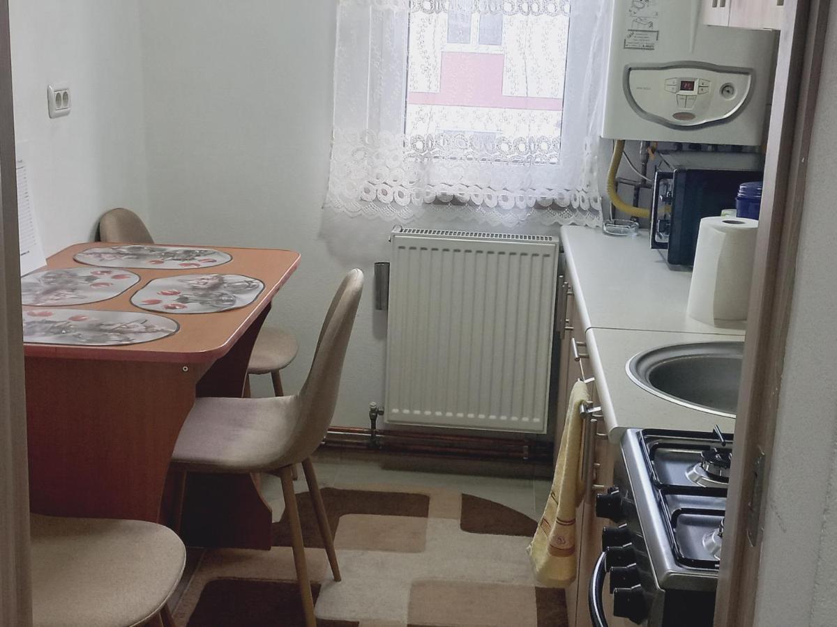 Apartament Bianca Câmpulung Moldovenesc Esterno foto