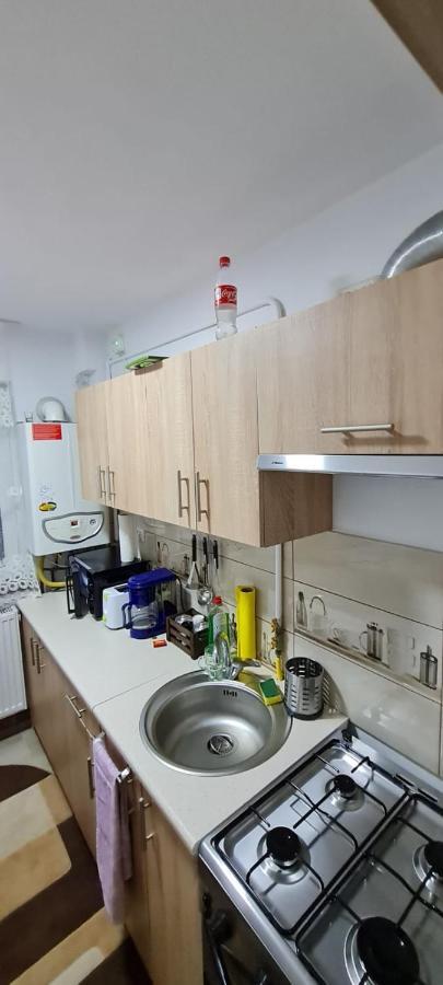 Apartament Bianca Câmpulung Moldovenesc Esterno foto