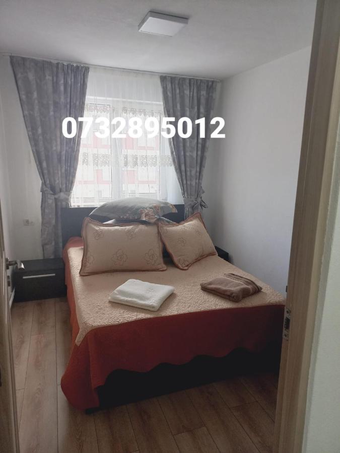Apartament Bianca Câmpulung Moldovenesc Esterno foto