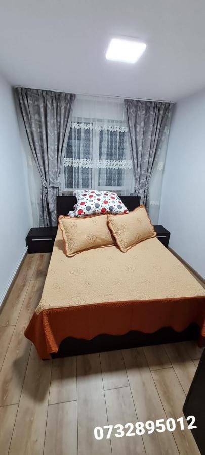 Apartament Bianca Câmpulung Moldovenesc Esterno foto